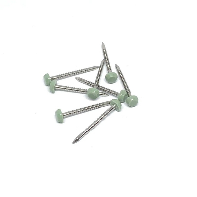 Πλαστικά επικεφαλής καρφιά 2.0X30mm κνημών δαχτυλιδιών ανοξείδωτου A2/A4