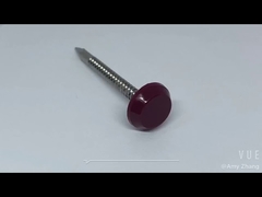 Ανοξείδωτο Ατσάλι Πλαστικό Κεφαλή Καρφί